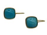 a pair of gold and turquoise stone earrings on a white background