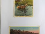 two old postcards of horses and dogs in a field