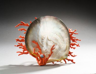 un coquillage recouvert de coraux sur un fond blanc