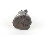 an image of a piece of wood with a ring on top of it