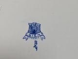 someone is holding a plate with a blue and white design on it