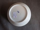 a white plate with a blue bird on it