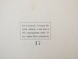 Photo 7/10 du lot