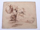 drawing of a goat ' s head on a piece of paper on a table