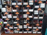 une vitrine présentant différents types de chaussures dans un magasin