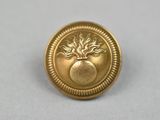 une image représentant un bouton en or orné d'un arbre