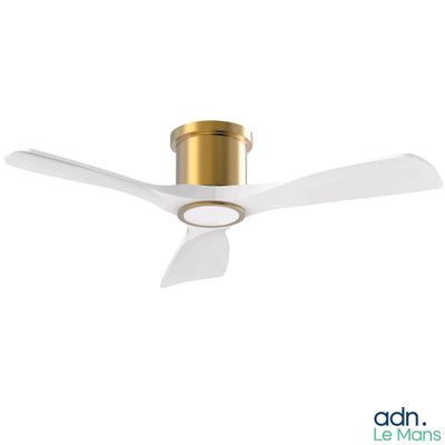 un gros plan d'un ventilateur de plafond équipé d'une lampe