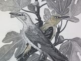 a drawing of two birds sitting on a tree branch