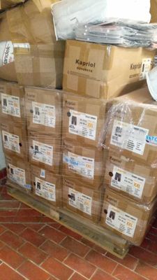 Palette de 150 shorts KAPRIOL smart référence 31723, XXL - N…