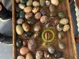 un panier rempli de cailloux posé par terre, près des pieds d'une personne