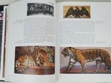 a book with pictures of tigers and other animals on it