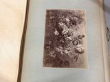 an old book with a picture of a bunch of flowers on it