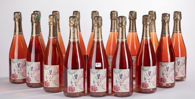 six bouteilles de vin sont alignées sur une surface blanche