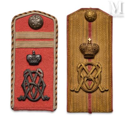 an image of a pair of military badges on a red and gold case