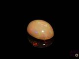 a close up of a white oplite on a black surface