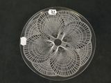 a glass plate with a design on it on a black surface