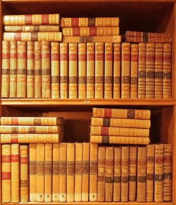 de nombreux livres anciens posés sur une étagère en bois dans la pièce