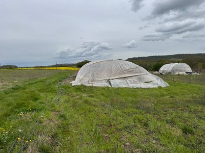 a large field with a bunch of tents in it