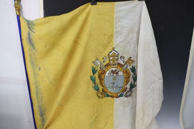 yellow and white flag with a coat of arms on top of it