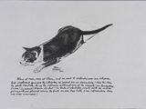 drawing of a black and white cat with a poem on it