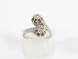 an image of a silver ring with two skulls on top of it