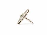 a close up of a diamond ring on a white background
