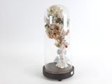une cloche en verre contenant une fleur