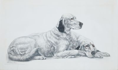 drawing of a dog and a cat laying on the ground