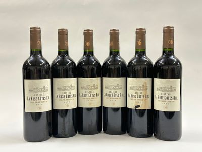 six bouteilles de vin sont alignées sur une surface blanche
