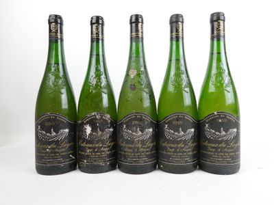 six bouteilles de vin sont alignées sur une surface blanche