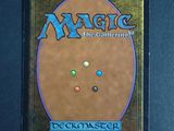a close up of the back of a card case for magic the gathering