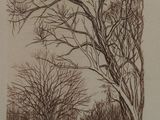 une image représentant un dessin d'un arbre sur lequel est perché un oiseau