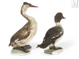 deux figurines de canards posées l'une sur l'autre
