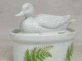 un canard blanc perché sur une jardinière