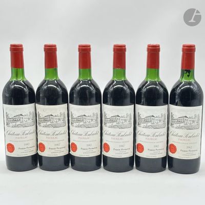 6 B CHÂTEAU FONBADET (T.L.B. à H.E.+ ; 2 e.a. ; 3 c.c. légères), Pauil - Photo 1