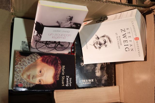 Lot de 6 cartons : littérature, histoire, livres d’art dont André...