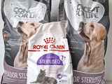 two bags of royal canin cat food and a bag of sterilised cat food