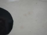 a close up view of a black and white cat ' s back