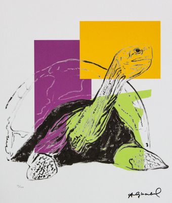 an image of a drawing of a turtle on a colorful background