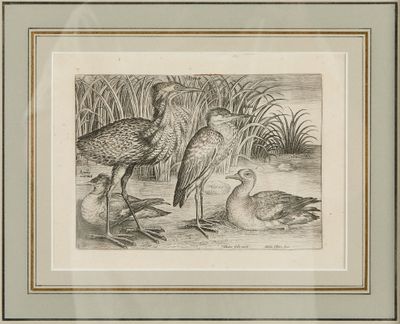an image of a drawing of two birds in the water