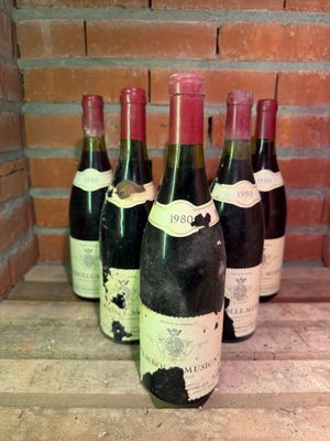 6 bouteilles CHAMBOLLE-MUSIGNY D.