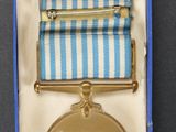 a small medal in a blue box with a ribbon around it