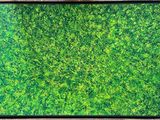 a painting of green grass in a wooden frame on a wall