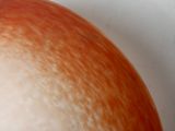 an orange and white object on a white surface