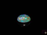 an oplite in the dark with a black background