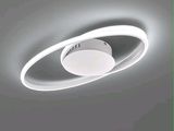 le plafonnier est orné d'un motif circulaire