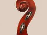a close up of the back of a violin with a fiddle in the foreground