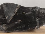 a black shoe that is sitting on a wooden table