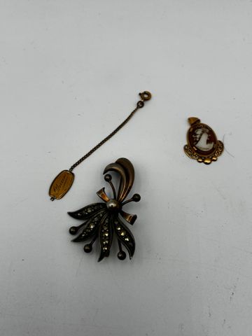 Pendentif ovale en or 18 carats 750 millièmes ornée d'un camé coq...