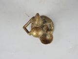 an image of a gold figurine on a white surface